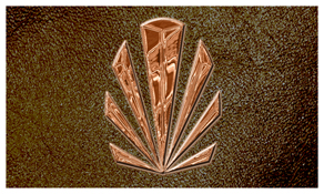 DNSEMP-C-602-CP-SH-BR Copper Sunburst Shimmer Brown